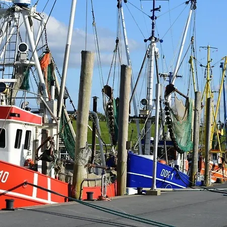 De Suelvermoew * Dorumer Neufeld