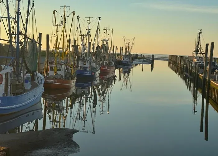 شقة De Suelvermoew Wurster Nordseekuste