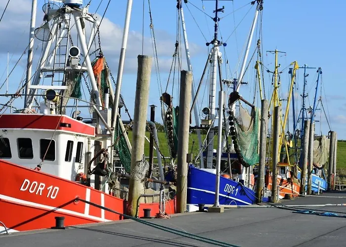 De Suelvermoew * Wurster Nordseekuste